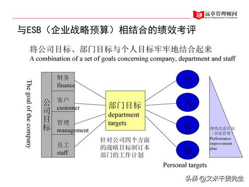 人力资源管理的全面提升——知名咨询公司客户案例解析