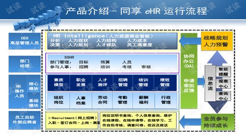 数字化时代的人力资源管理新范式 软件与服务双轮驱动