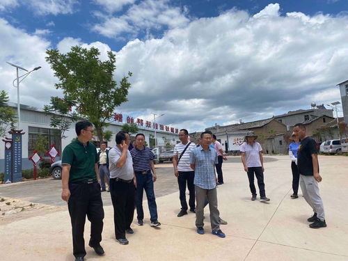 云南江川 农村能源安全宣传与人力资源咨询服务双管齐下