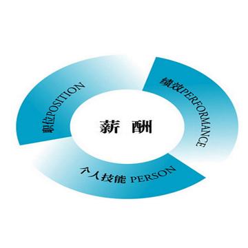 人力资源管理咨询 薪酬体系改革与激励机制设计的战略路径