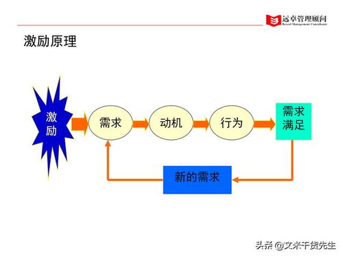 知名咨询公司客户案例 100页人力资源管理的全面提升