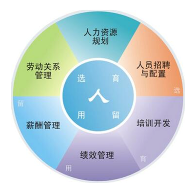 人力资源管理咨询 提升组织效能的关键服务
