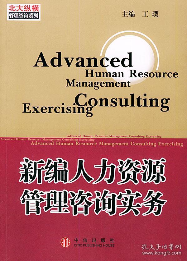 新编人力资源管理咨询实务 现代企业必备的服务指南